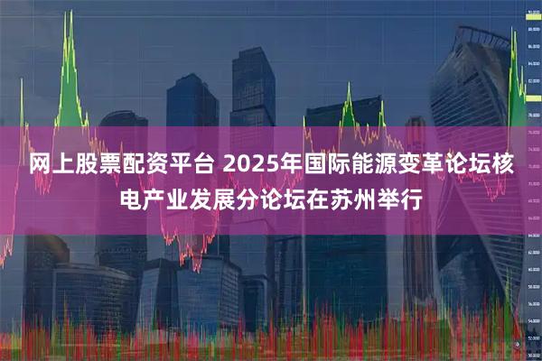 网上股票配资平台 2025年国际能源变革论坛核电产业发展分论坛在苏州举行