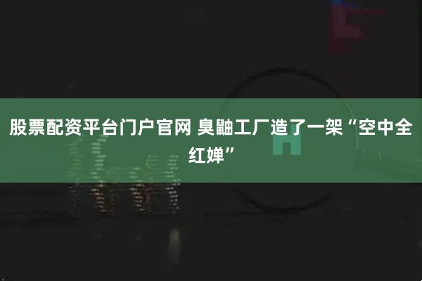 股票配资平台门户官网 臭鼬工厂造了一架“空中全红婵”