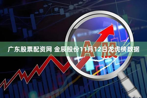 广东股票配资网 金辰股份11月12日龙虎榜数据