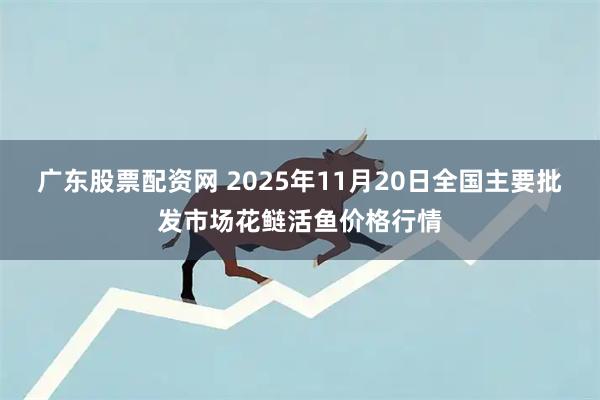 广东股票配资网 2025年11月20日全国主要批发市场花鲢活鱼价格行情